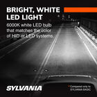 SYLVANIA 9145 ZEVO LED Fog Bulb, 2 Pack, , hi-res